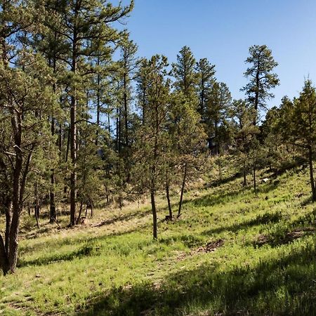 Homers Hideaway Ruidoso Exterior foto